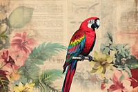 Parrot vegetation animal macaw.