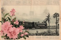 Train transportation locomotive blossom.
