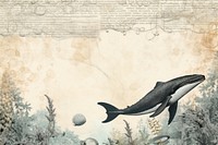 Ephemera style of whale and sea border dolphin animal mammal.