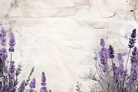 Ephemera style of lavender border blossom flower purple.