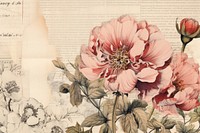 Ephemera style of peony border graphics painting geranium.