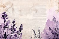 Ephemera style of lavender border herbs blossom herbal.
