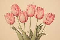 Vintage tulips print on paper flower plant rose.