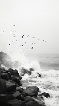 Photography of ocean waves crashing the stones bird monochrome outdoors.