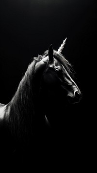 Photography of aesthetic unicorn photography monochrome stallion.