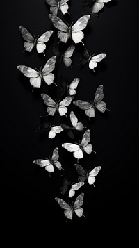 Photography of flying butterflies black monochrome white.