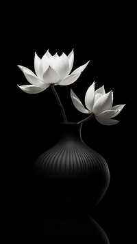 Photography of lotus vase monochrome flower petal.