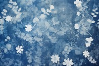 Flower pattern backgrounds snowflake nature.