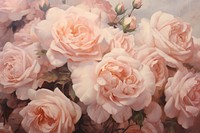 Garden of rose painting backgrounds flower.