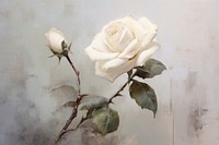 White rose painting flower plant.
