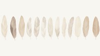 Feathers as line watercolour illustration backgrounds wood white background.