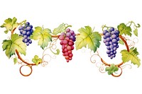 Vine boarder grapes plant food.