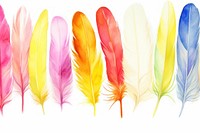 White feathers boarder backgrounds white background lightweight.