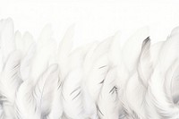 White feathers boarder backgrounds accessories copy space.