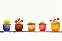 Flower pots boarder plant arrangement creativity.