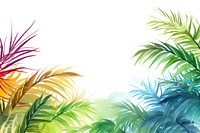 Palm leaves boarder backgrounds outdoors nature.