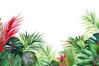Palm leaves boarder backgrounds outdoors nature.