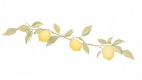 Lemon branch fruit plant food.