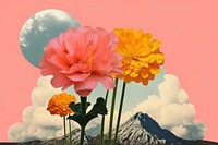 Collage Retro dreamy of flower cloud astronomy mountain.