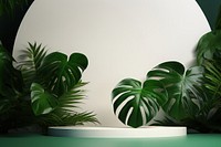 Monstera background nature plant green.