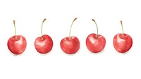 Red cherries as line watercolour illustration cherry apple fruit.