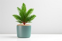 Simple tree pot  plant leaf vase.