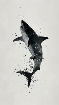 Shark shark animal paper.