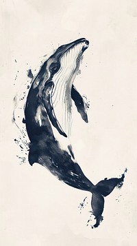 Whale whale drawing animal.