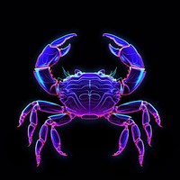 Illustration crab neon rim light purple seafood animal.
