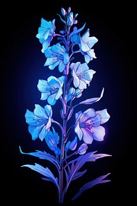 Illustration delphinium neon rim light blossom flower purple.