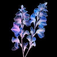 Illustration delphinium neon rim light purple flower petal.