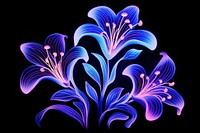 Illustration lily neon rim light purple pattern blue.