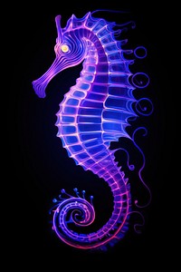 Illustration sea horse neon rim light seahorse animal purple.
