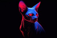 Illustration Sphynx cat neon rim light portrait animal mammal.
