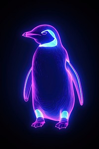 Illustration penguin neon rim light animal purple line.