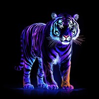 Illustration roaring tiger neon rim light purple wildlife animal.