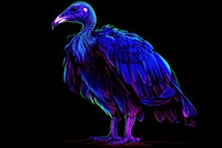 Illustration Vulture neon rim light vulture animal condor.