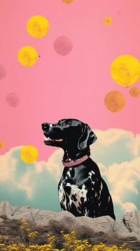 Dreamy Retro Collages whit a happy dog animal mammal pet.