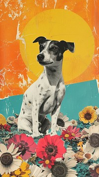 Dreamy Retro Collages whit a happy dog art collage mammal.