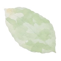 Green leaf marble distort shape abstract plant paper.