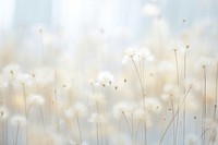  White aesthetic backgrounds outdoors. AI generated Image by rawpixel.