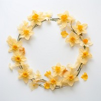  Real pressed daffodil flowers wreath petal plant. AI generated Image by rawpixel.