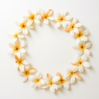  Real pressed plumeria flowers jewelry wreath petal. AI generated Image by rawpixel.