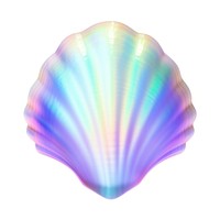 A holography shell icon seashell clam white background.