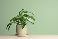 Houseplant leaf terracotta flowerpot. AI generated Image by rawpixel.