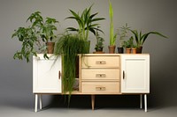 Houseplants furniture sideboard cabinet houseplant drawer chiffonier. AI generated Image by rawpixel.