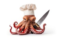 Octopus knife white background invertebrate.