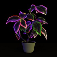 A plant purple light black background.