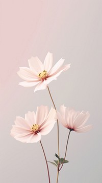  Beautiful flower wallpaper blossom petal plant. AI generated Image by rawpixel.