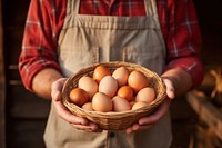 Close up of farmer is showing fresh eggs food agriculture adult.